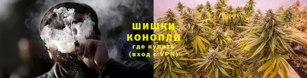 спиды Нефтекумск