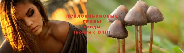 гашик Нея