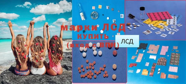 спиды Нефтекумск