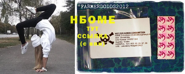 гашик Нея