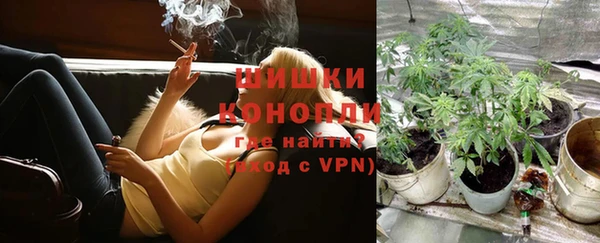 спиды Нефтекумск
