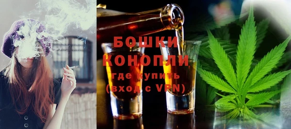 гашик Нея
