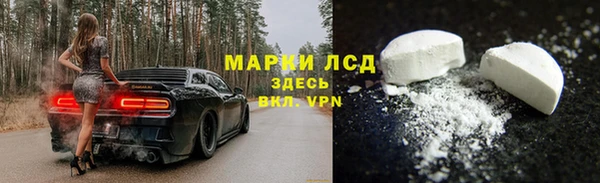 гашик Нея