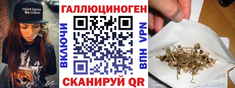 Псилоцибиновые грибы Psilocybe  цена   Правдинск 